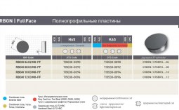 DTS GmbH RCGW-FULLFACE